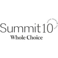 Summit10